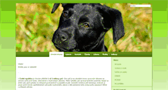 Desktop Screenshot of mujkamaradpes.webuje.cz